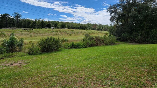 Building Photo - Citrus Springs 3/2/2 (2023)