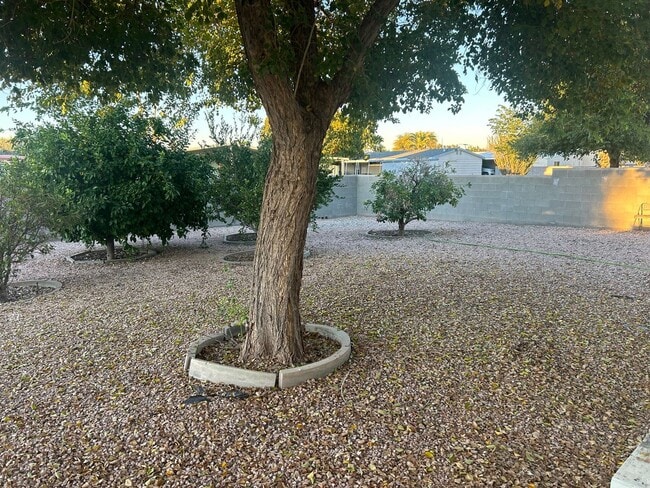 Foto del edificio - 2 bedroom long term rental in Sun Lakes