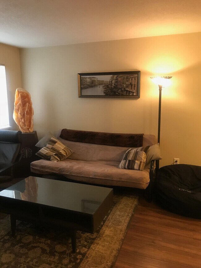 Sala de estar abierta con luz natural dada la unidad final. - 1209 W Plum St