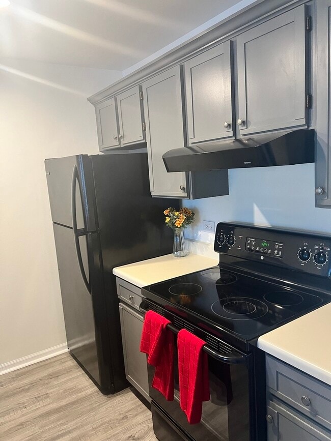 1303 Cunat Ct, Lake in the Hills, IL 60156 House Rental in Lake in