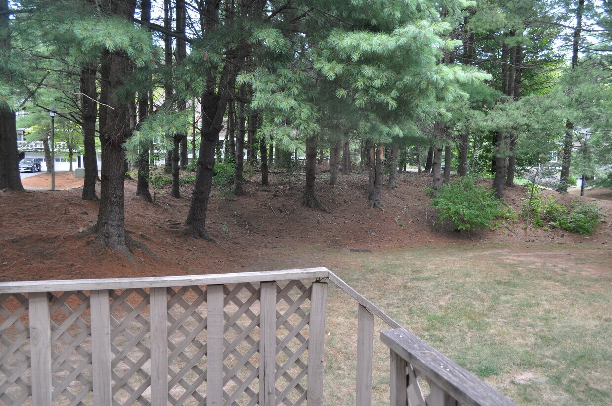 Primary Photo - 110 Songbird Ln