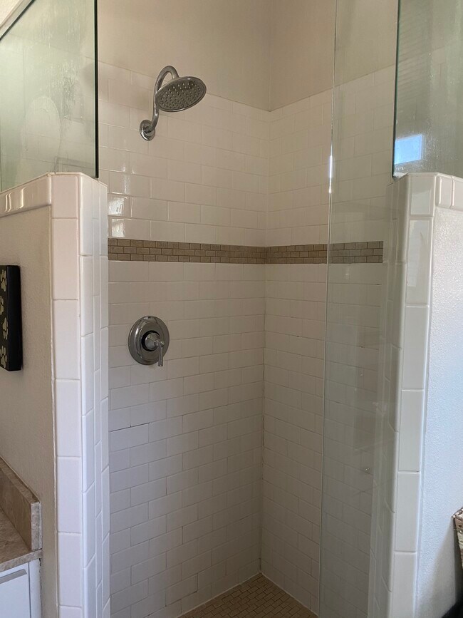 Primary bathroom shower - 1228 W Jessamine St