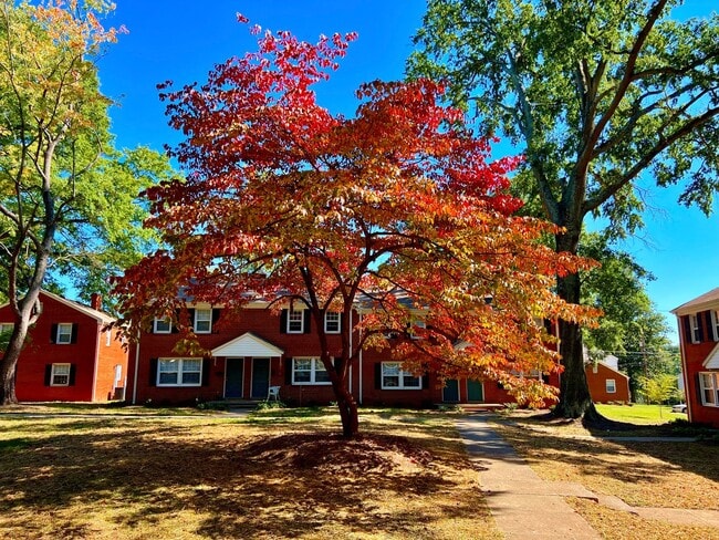 Interior Photo - Latham Park Manor