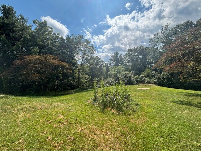 El patio trasero es grande - 103 Hanks St