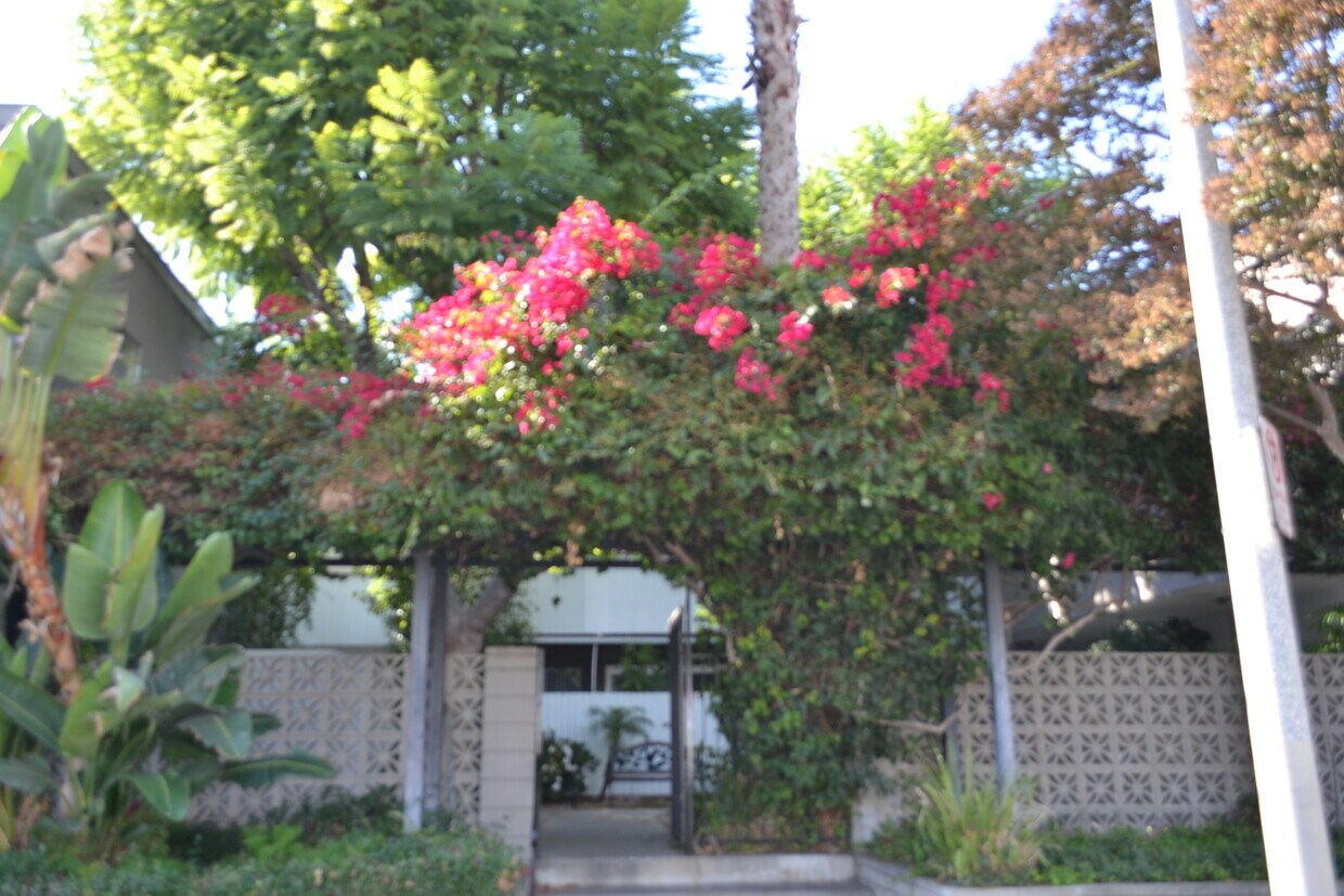 Primary Photo - 10805 Camarillo St
