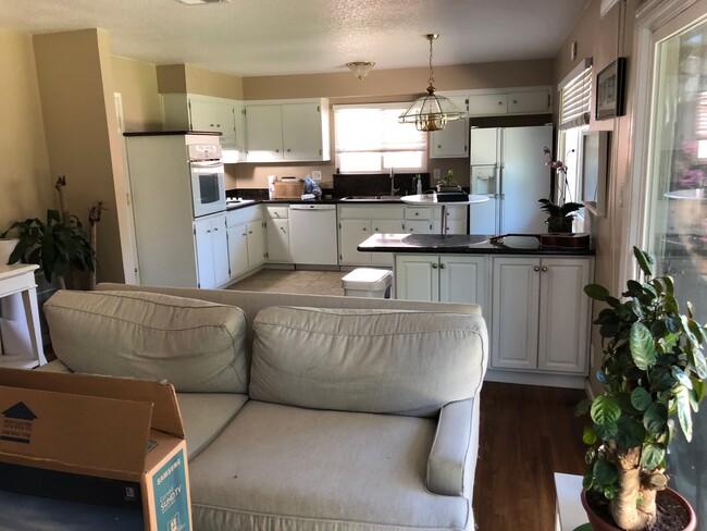 Kitchen - 3430 Flamingo Dr