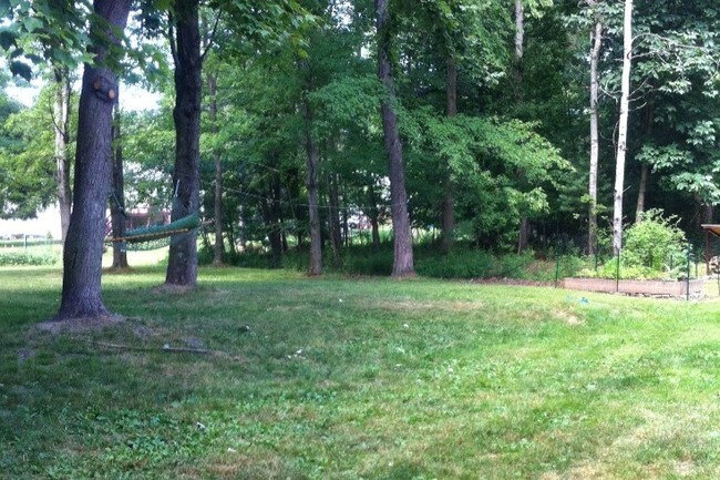 Backyard - 16 Cardinal Dr