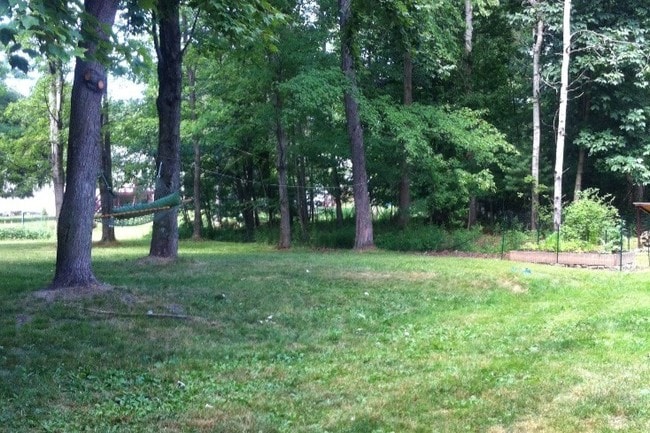Backyard - 16 Cardinal Dr
