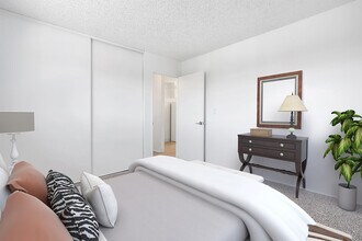 Shady Lane Apartments photo'