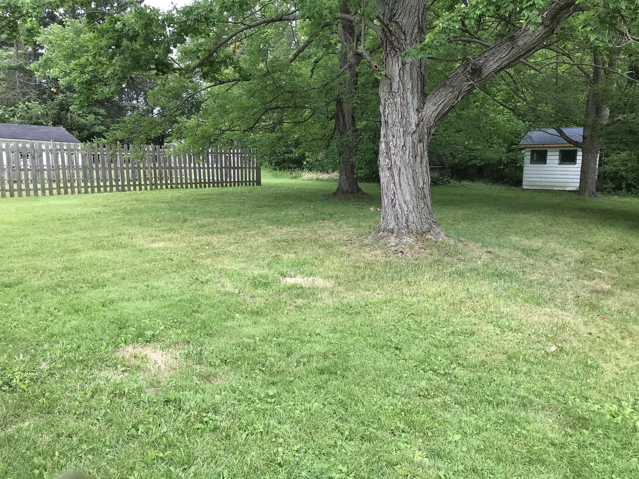 263 S Bon Air Ave Youngstown, OH 44509 – photo 3