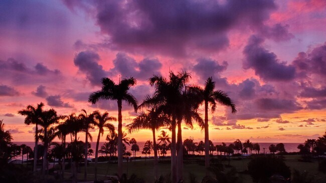 Foto del edificio - 4021 Gulf Shore Blvd N