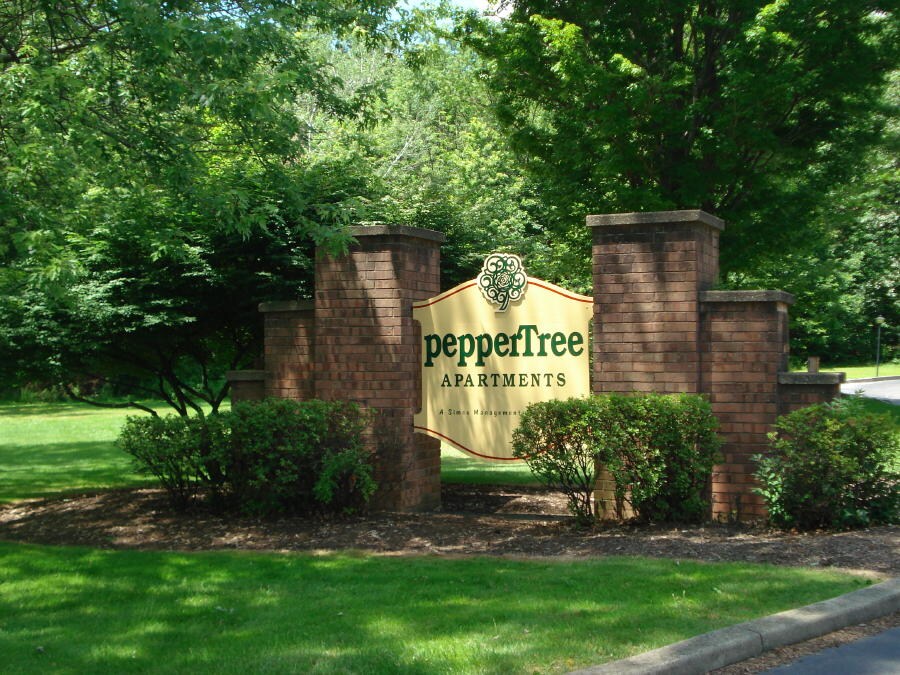 Peppertree – photo 4