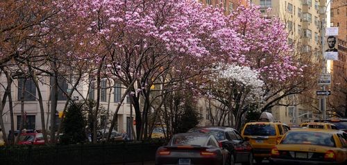 Foto del edificio - 22 Park Ave