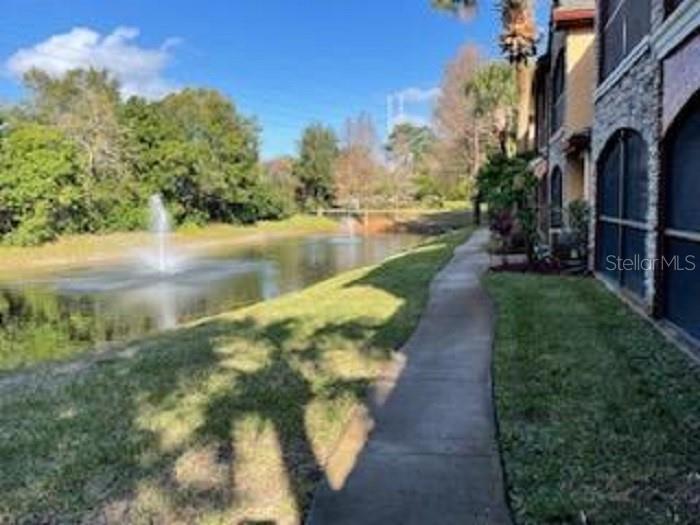 2138 Chianti Pl Unit 1411, Palm Harbor, FL 34683 Condo for Rent in Palm Harbor, FL