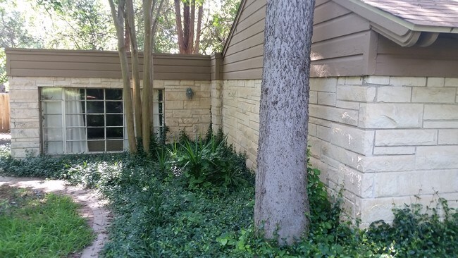 View of back windows - 125 Woodland Dr