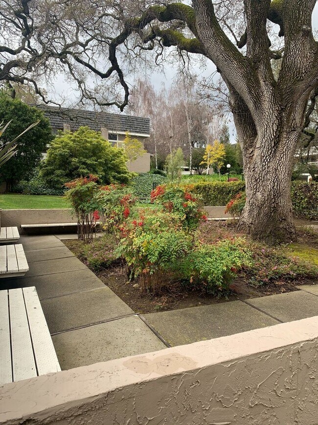 Building Photo - Lovely 2-Bedroom Apartment in Sharon Heights