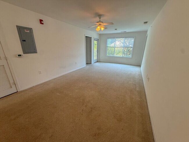 Foto del edificio - 4 Bed 4 Bath Condo with New carpet available now!!!