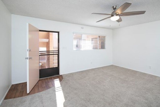 Building Photo - Large Studio in Beautiful Pacific Beach