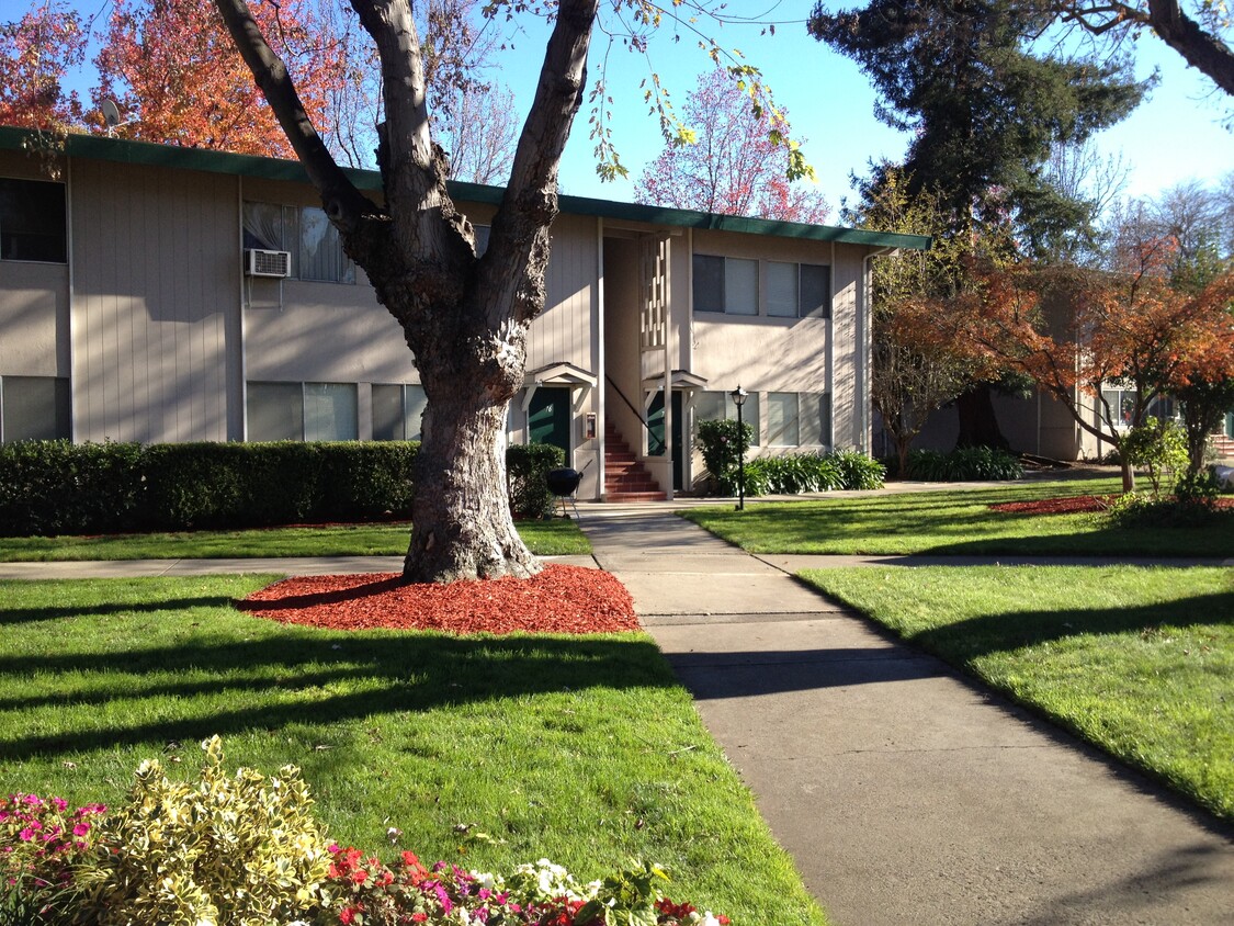 Primary Photo - Driftwood Apartments