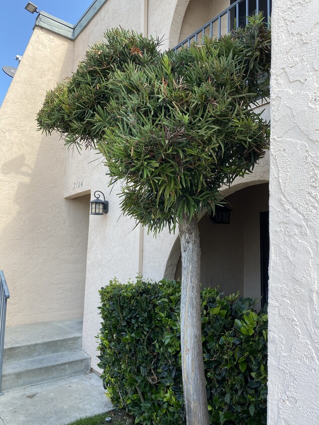 Entry from parking lot - 2104 Oceanside Blvd