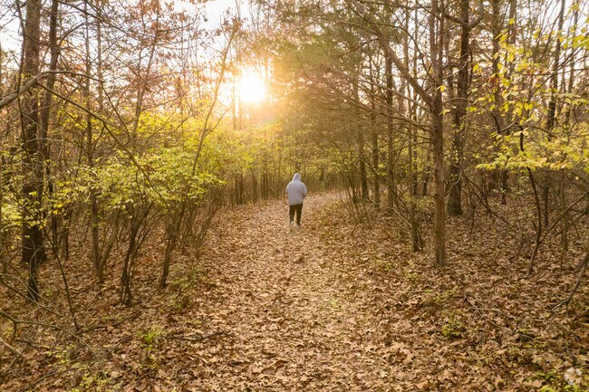 Strawberry Creek Nature Preserve has 118 acres of forested trails that visitors can explore.