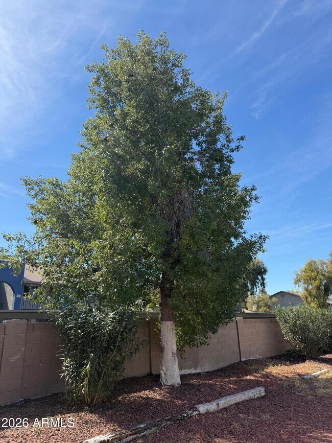 Foto del edificio - 6815 W Carol Ave