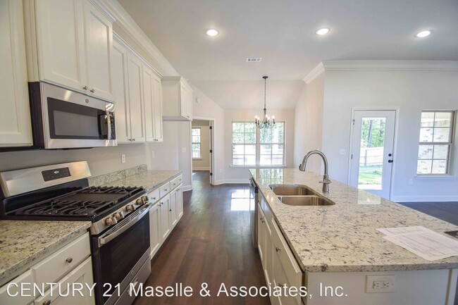 Building Photo - 4 br, 2 bath House - 1017 Silver Circle