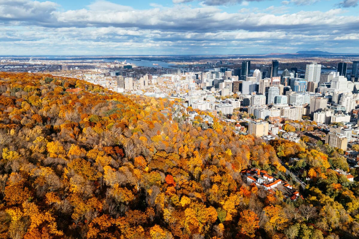 Une vue de Westmount, QC