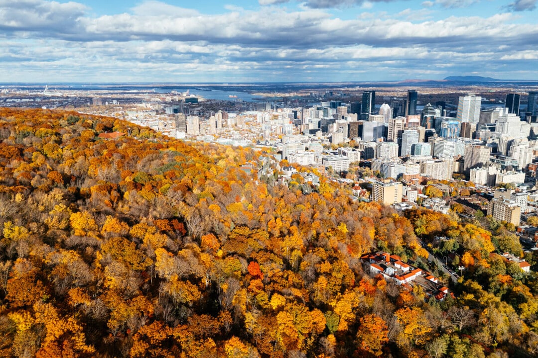 Westmount