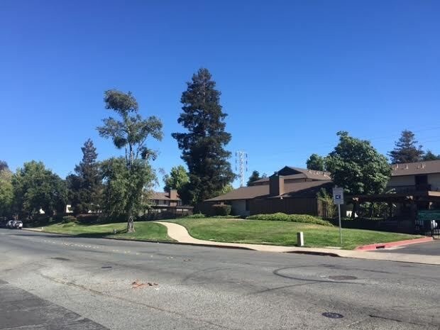 Primary Photo - 1707 Mahogany Way