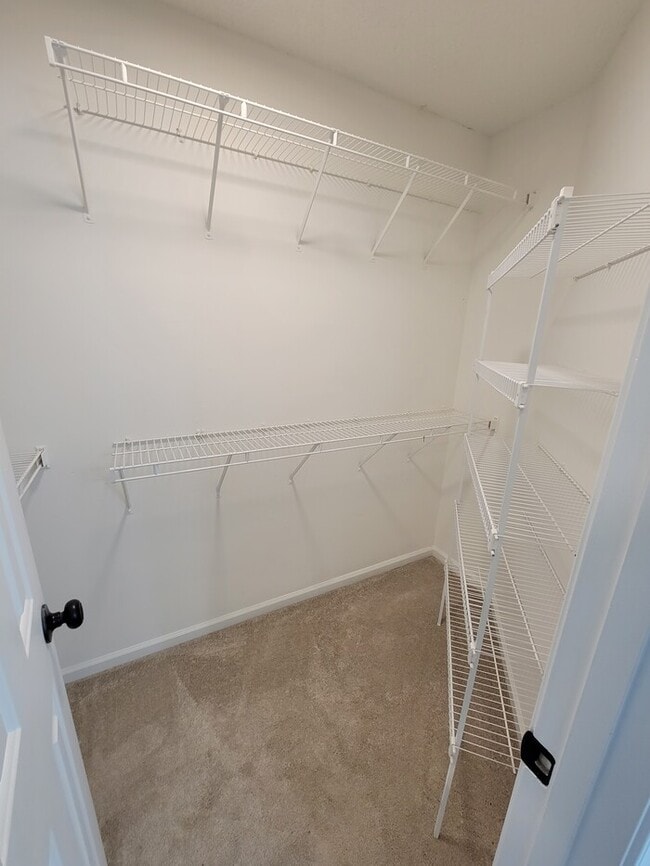 Building Photo - Newly Renovated Home