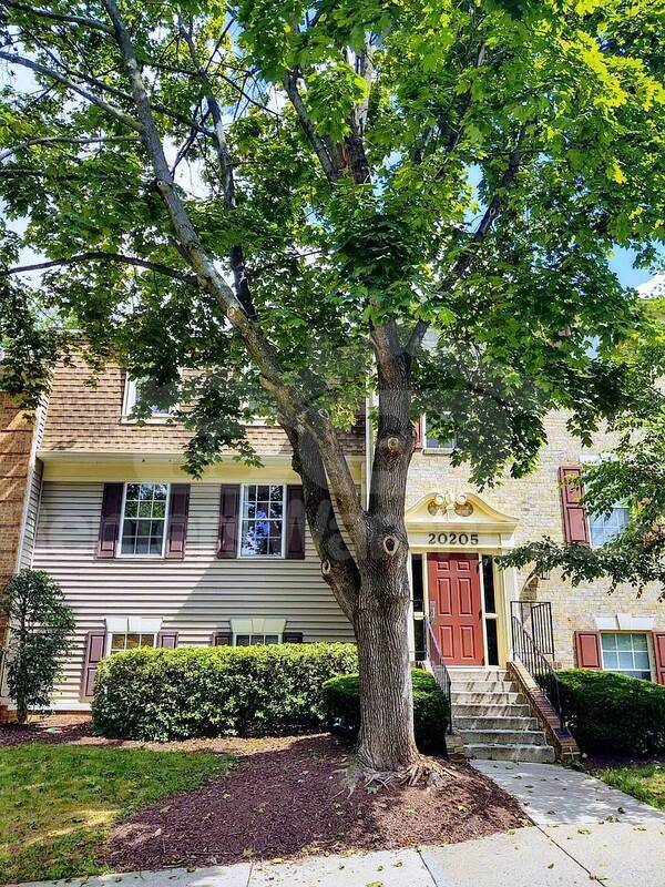Building Photo - 20205 Shipley Terrace