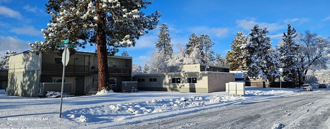 Building Photo - spacious 1-bedroom 1-bath with open floor plan for rent