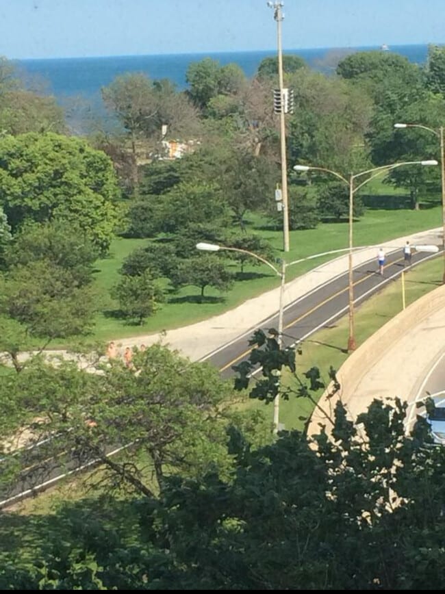 View from living room - 5701 N Sheridan Rd