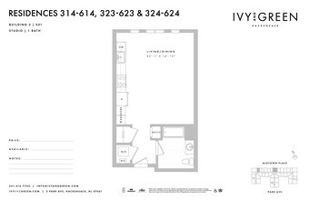 Interior Photo - Ivy and Green