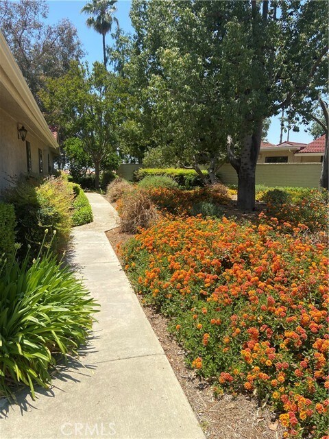 Foto del edificio - 1294 Upland Hills Dr N