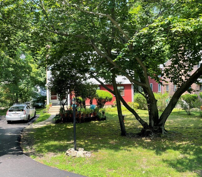 10 Madoc St Unit 10, Newton, MA 02459 Apartments in Newton, MA