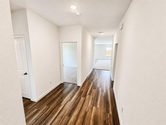 Building Photo - 3008 Lacebark Ct