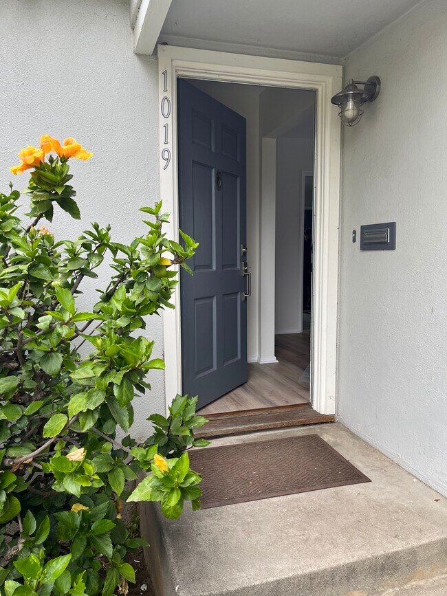 Front door - 1019 Amherst Ave