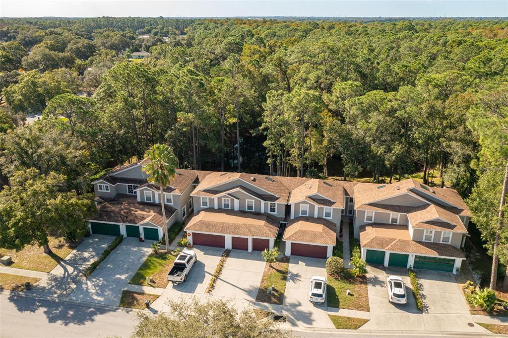 Foto principal - 4348 Brooker Creek Dr