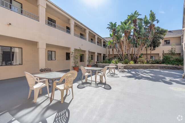 Courtyard - Montrose