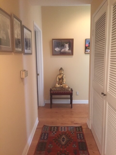 corridor with washer drier cupboard on the right - 1541 S Bedford St