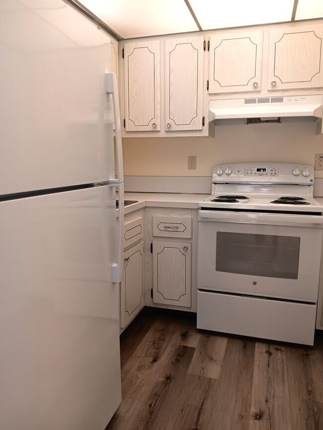 Foto del edificio - Sunny spot in St Pete, close to downtown & all kinds of shopping, dining