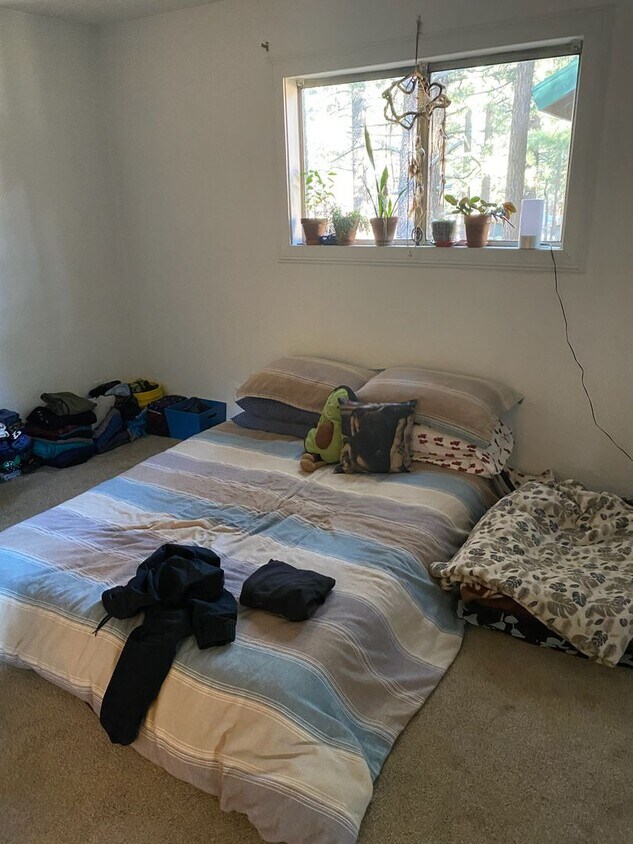 477 Mono, LLC Pampillo Apartment for Rent in Mammoth Lakes, CA