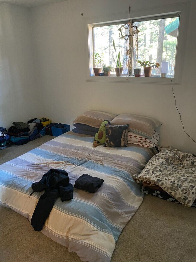 Foto del edificio - 477 Mono St