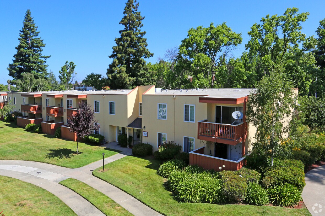 Sycamore Commons Apartments in Fremont, CA