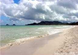 Building Photo - 520-B N Kalaheo Ave