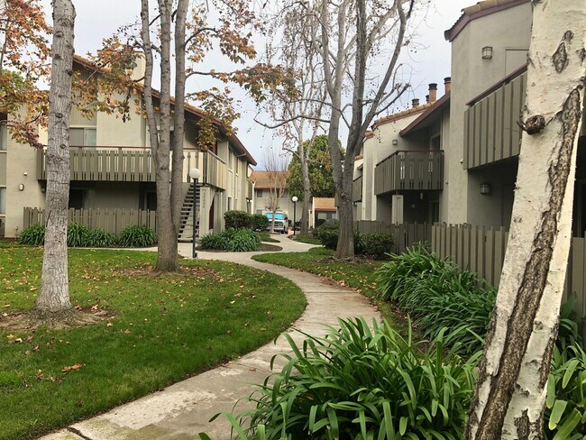 Building Photo - Updated 2 bedroom 2 bath condo with easy a...
