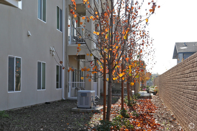 Building Photo - Sierra View Terraces