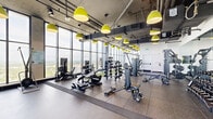 Located at 307 SW 5th St in Fort Lauderdale, Florida, this expansive fitness center delivers a premium exercise experience across a generously sized single-floor layout. The space is defined by dramatic floor-to-ceiling glass walls that flood the interior with abundant natural light and frame sweeping panoramic views of the Fort Lauderdale skyline and surrounding landscape — an inspiring backdrop for any workout.

The industrial-modern aesthetic is thoughtfully executed, with exposed ceiling ductwork and piping contrasted by bold, chartreuse pendant lights that hang throughout the space, adding a striking pop of color. Durable rubber and tile flooring provide safe, high-performance surfaces across distinct workout zones.

The cardio section features a row of treadmills and elliptical machines positioned directly in front of the floor-to-ceiling windows, maximizing the outdoor views. A dedicated cycling area showcases air bikes and recumbent bikes alongside a vivid botanical mural that enlivens the wall with lush, hand-painted foliage. The strength training zone is well-equipped with a comprehensive selection of selectorized machines, cable systems, free weights, and specialty resistance equipment. A mirrored wall expands the sense of space in the strength area.

Overall, the fitness center combines functionality with a vibrant, energizing ambiance, making it a standout amenity in the heart of Fort Lauderdale.
